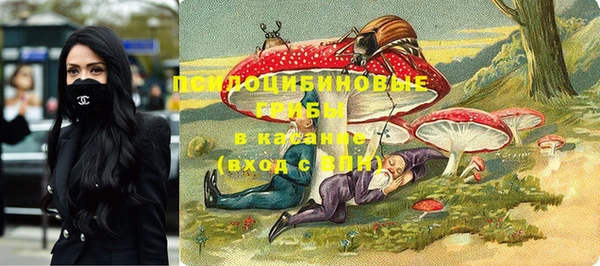 прущие крисы Пересвет