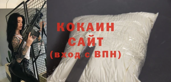 apvp Пестово