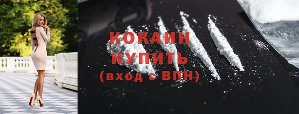 apvp Пестово