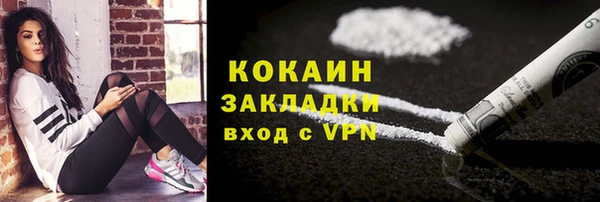 прущие крисы Пересвет