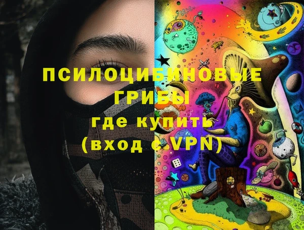 прущие крисы Пересвет
