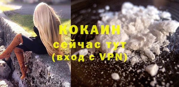 apvp Пестово