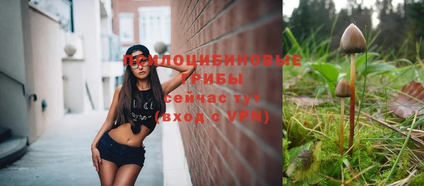 прущие крисы Пересвет