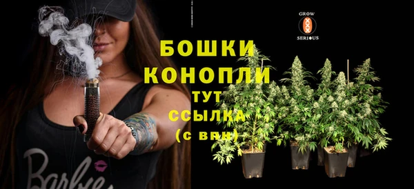 прущие крисы Пересвет