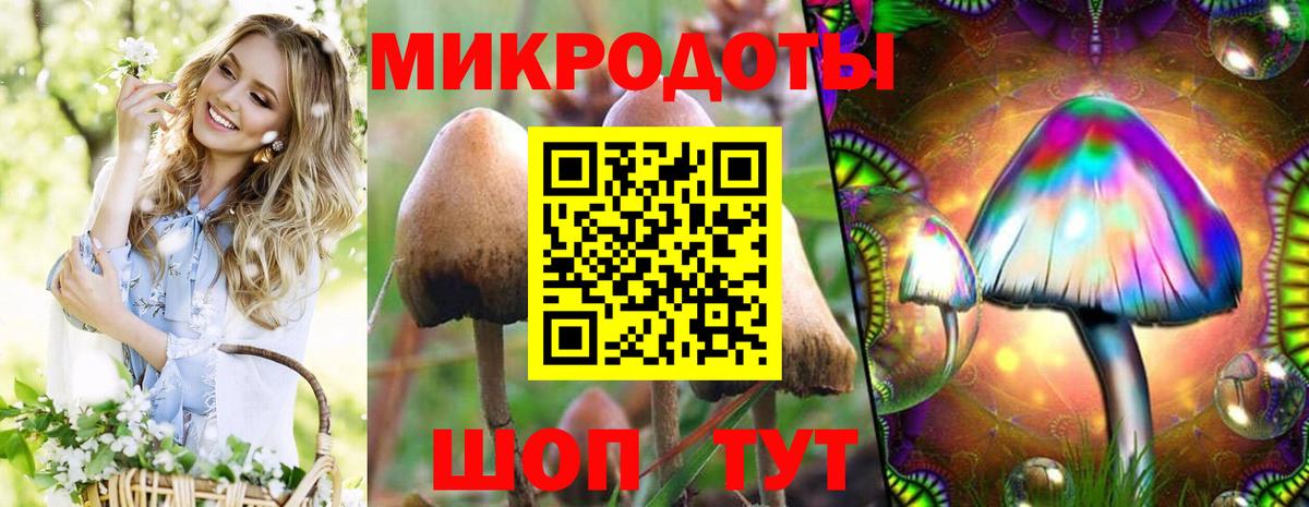 Псилоцибиновые грибы MAGIC MUSHROOMS  Вход с VPN  Ялта  Галлюциногенные грибы Psilocybine cubensis 